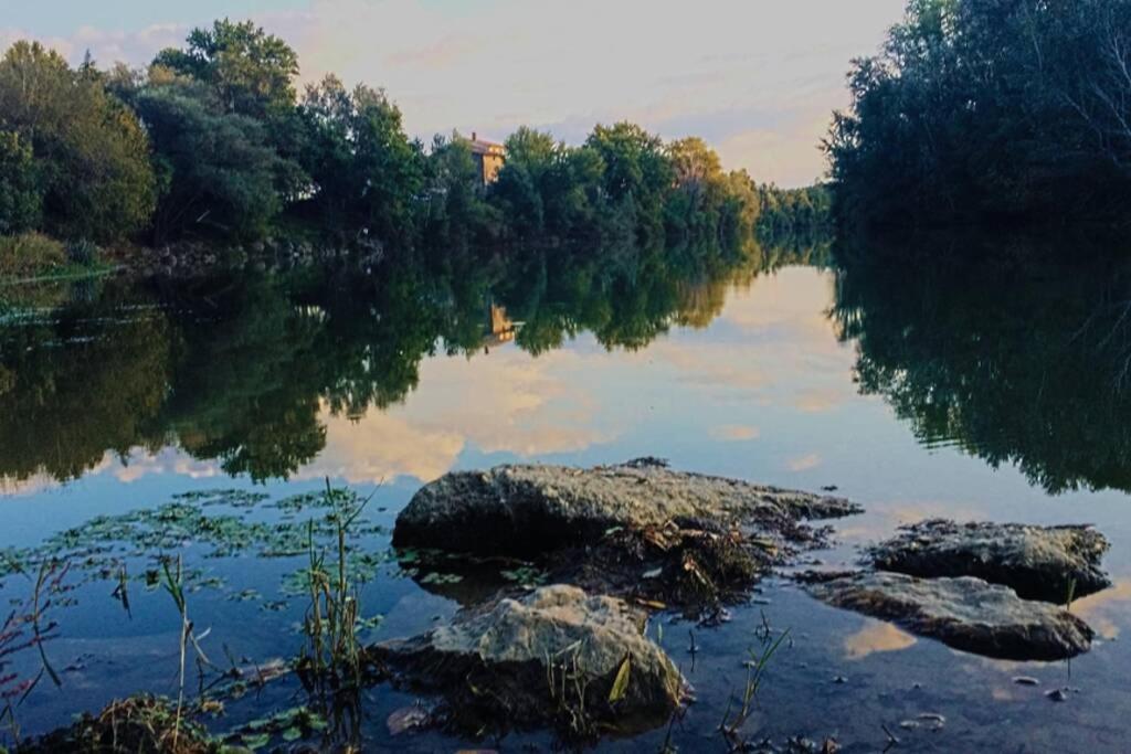 Studio Entre Cevennes Et Camargue Montfrin Екстер'єр фото
