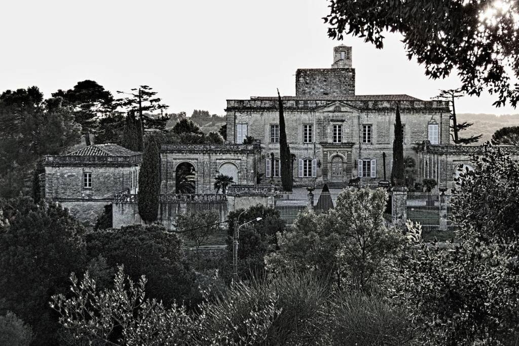 Studio Entre Cevennes Et Camargue Montfrin Екстер'єр фото